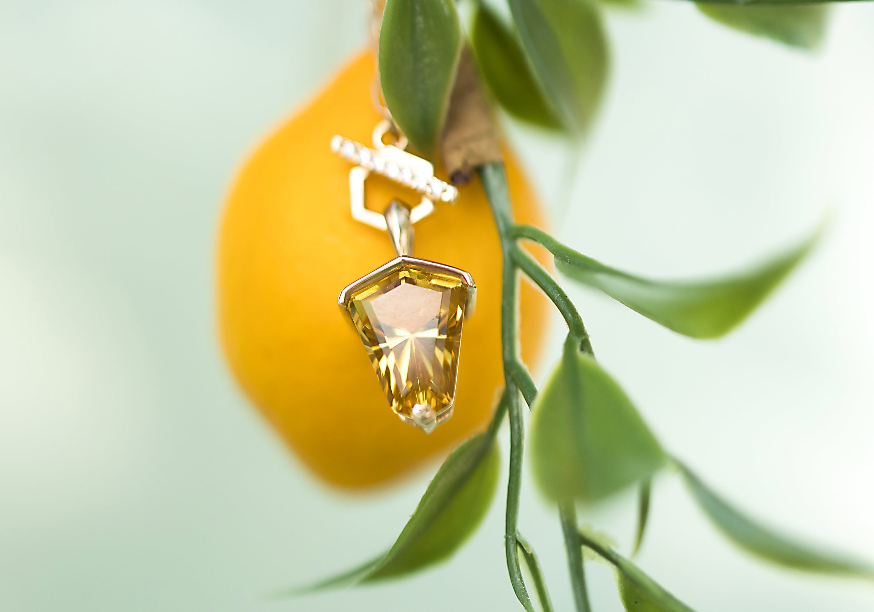 Ambrosia's Signature Collection