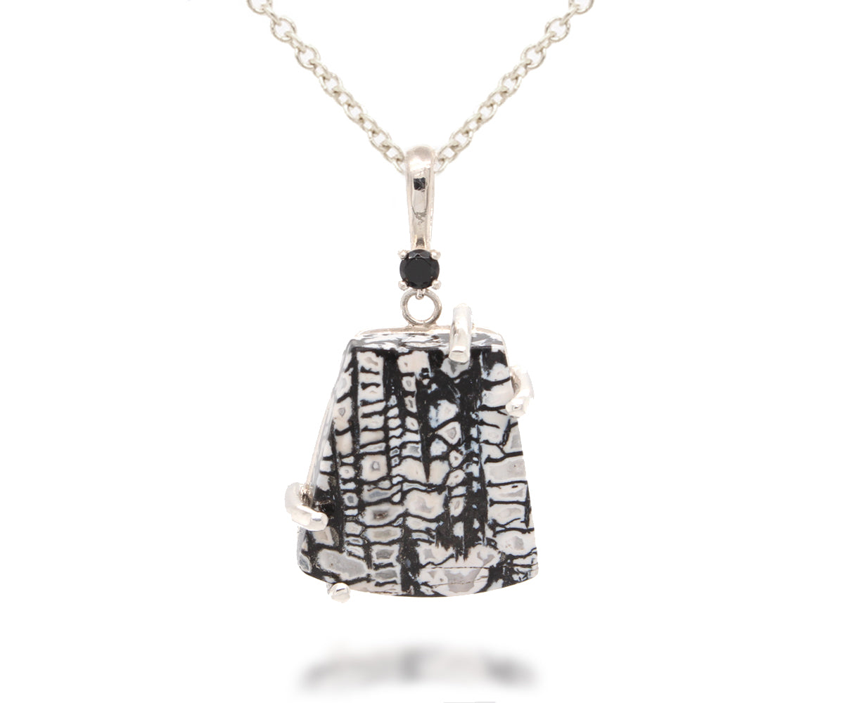 Petrified Spruce Wood Black Onyx Necklace