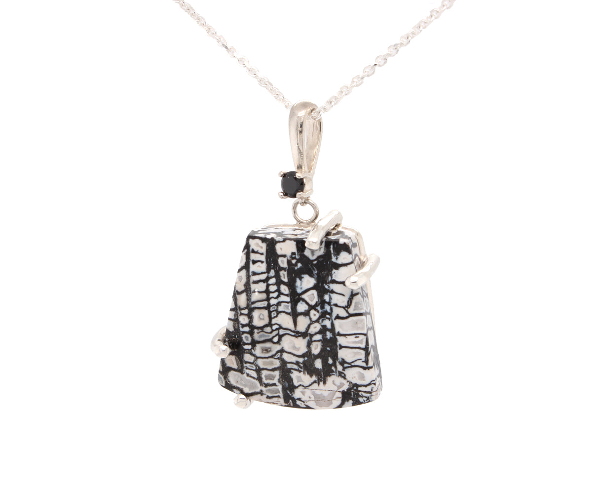 Petrified Spruce Wood Black Onyx Necklace