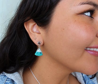 Beach Opal Petrified Wood Triangular Earrings