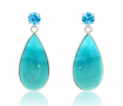 Beach Opal Petrified Wood Teardrop Earrings