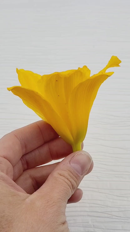 Ballpark Classic Princess Diamond Engagement Ring